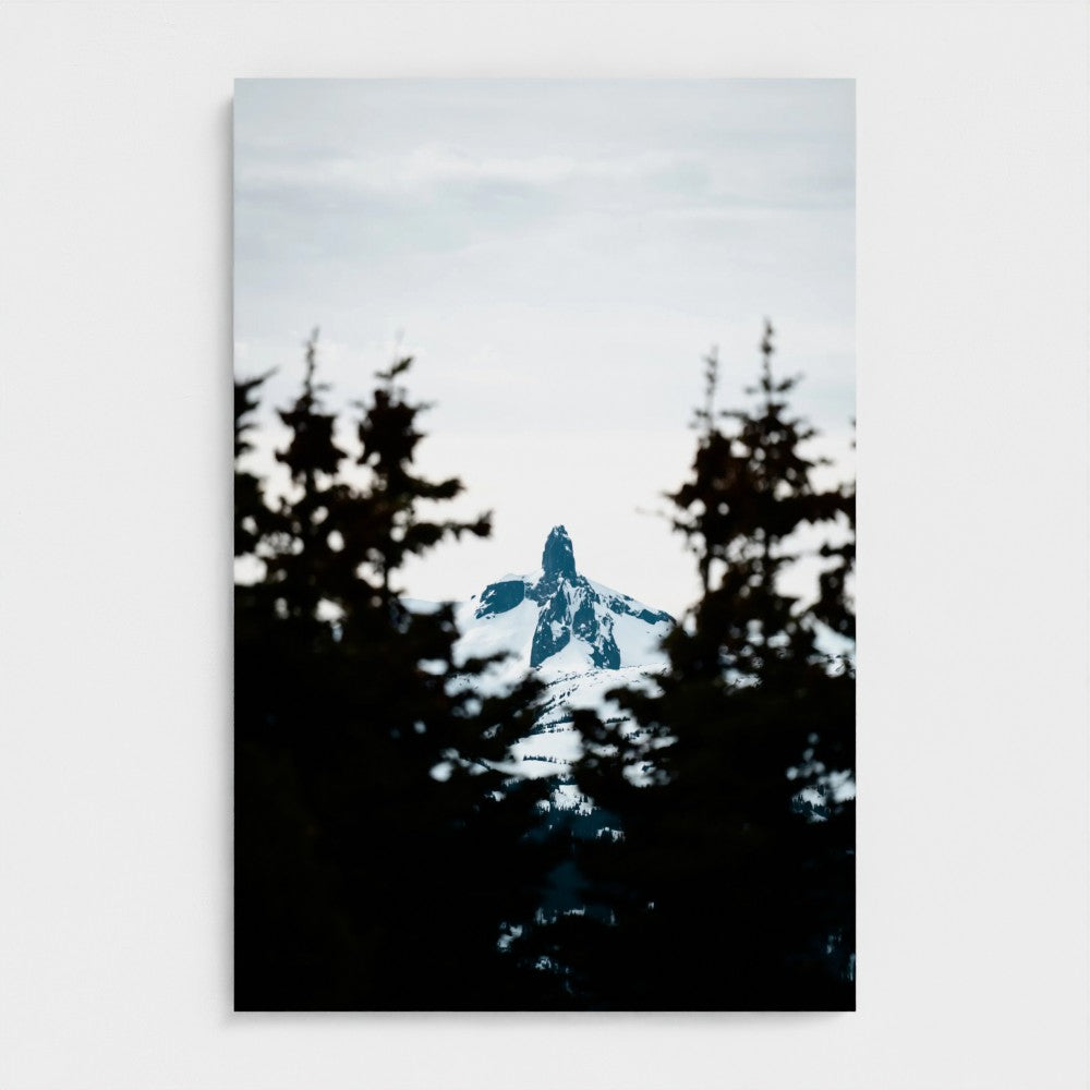 Montagne & Altitude