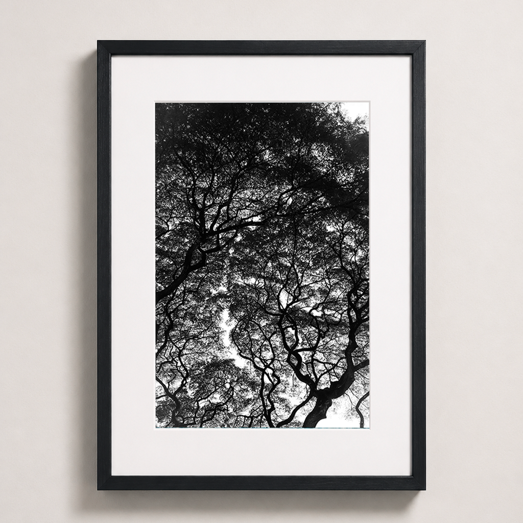 L’encre des branches | Hawaï
