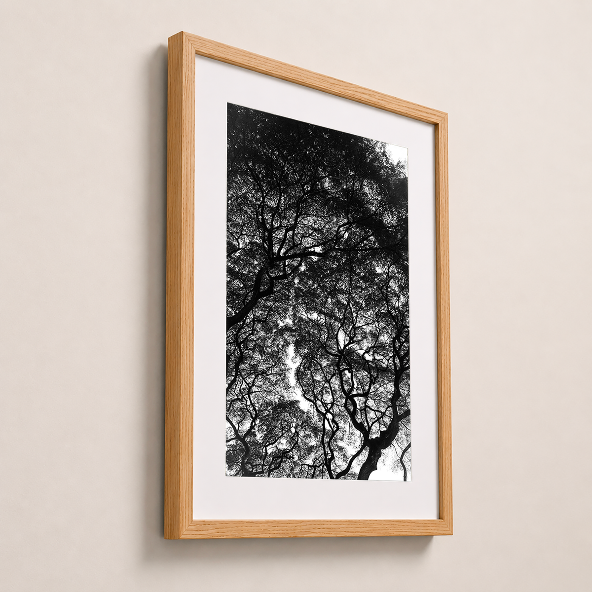 L’encre des branches | Hawaï