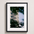Lignes souples | Vancouver