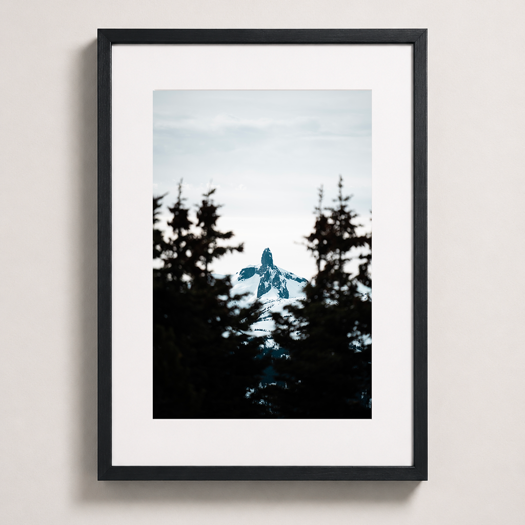 Sommet enneigé | Whistler