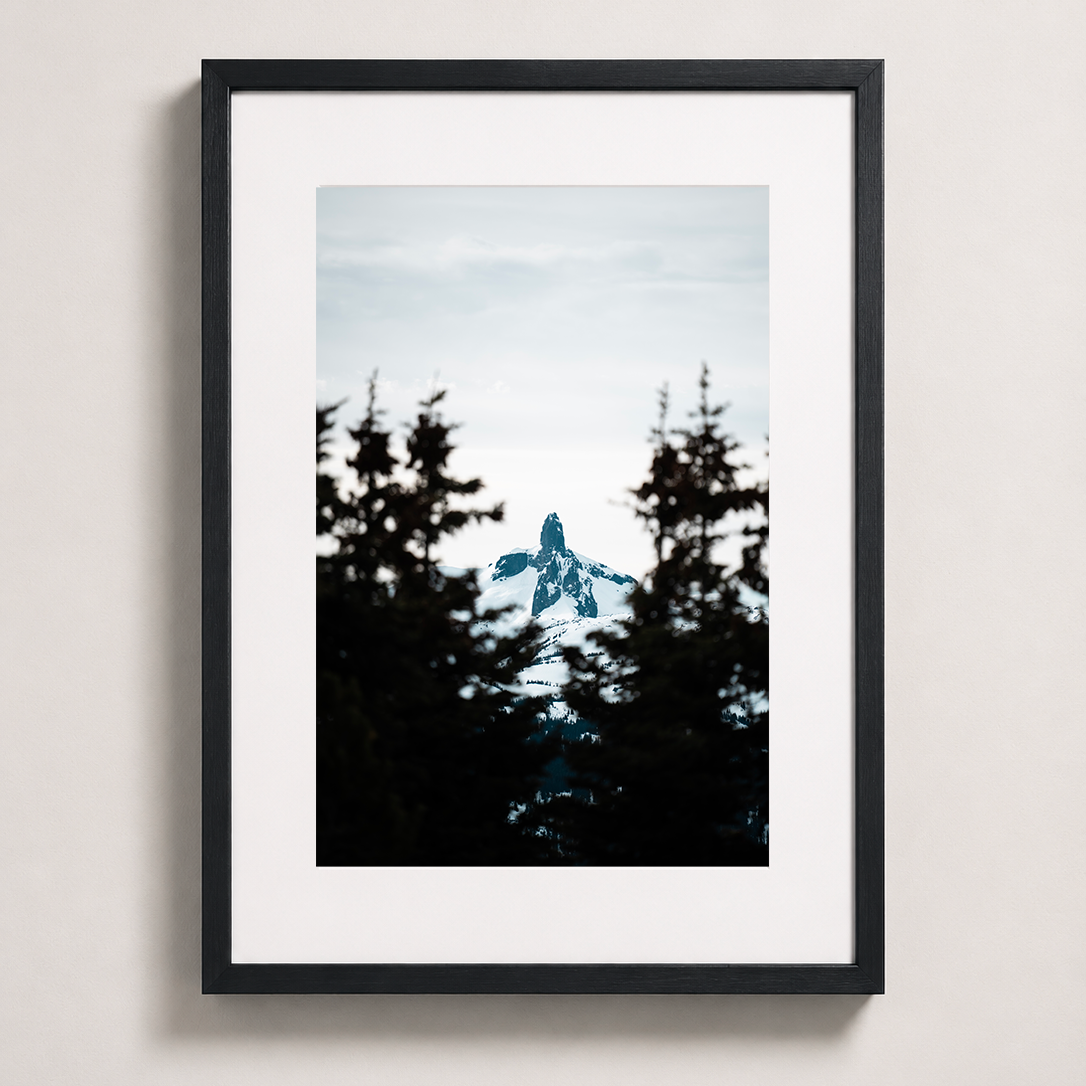 Sommet enneigé | Whistler