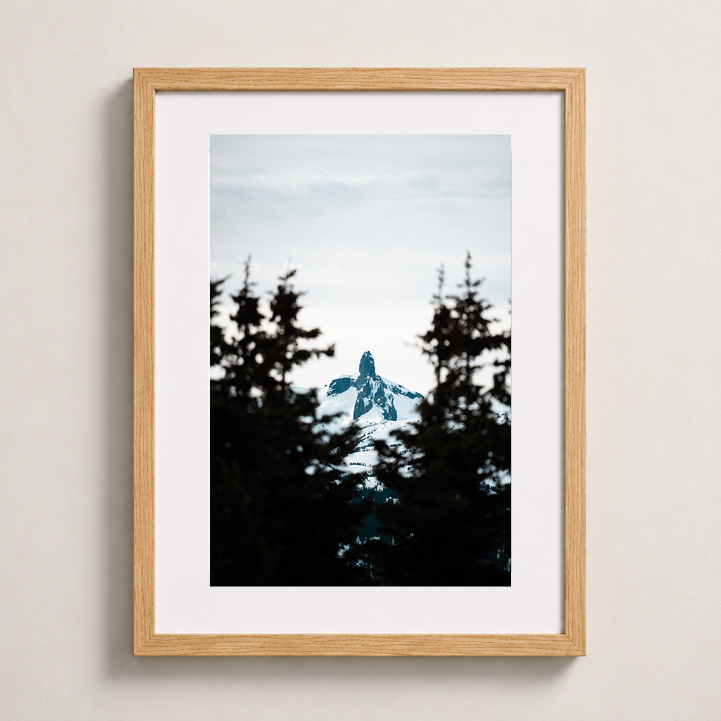 Sommet enneigé | Whistler