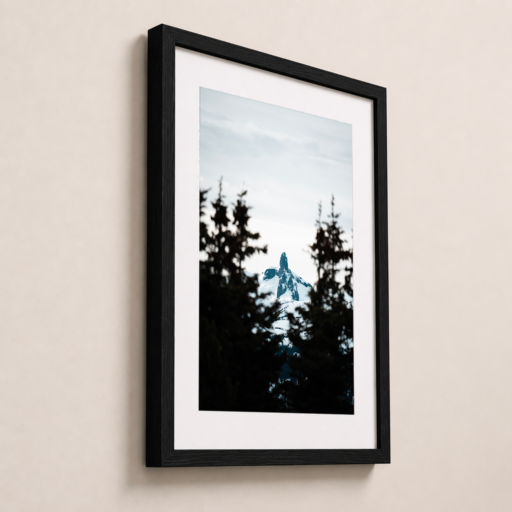 Sommet enneigé | Whistler