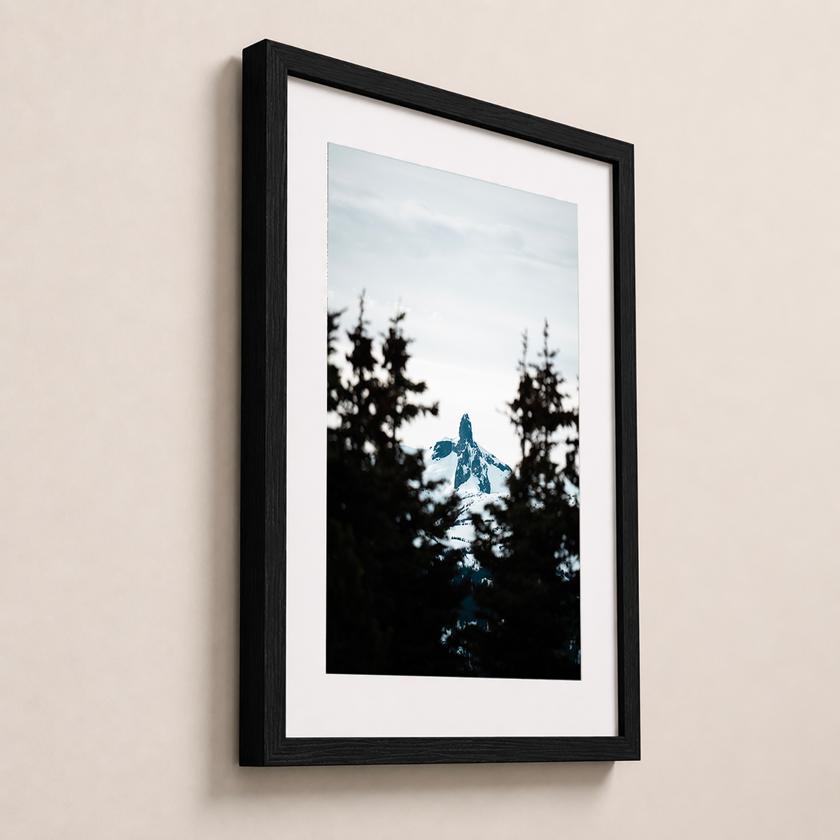Sommet enneigé | Whistler