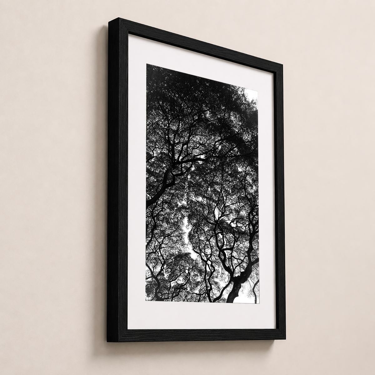 L’encre des branches | Hawaï