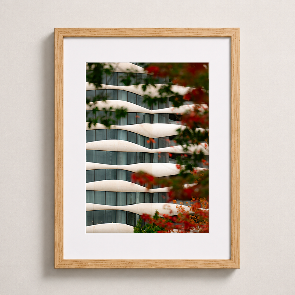 Ondulations d’automne | Vancouver