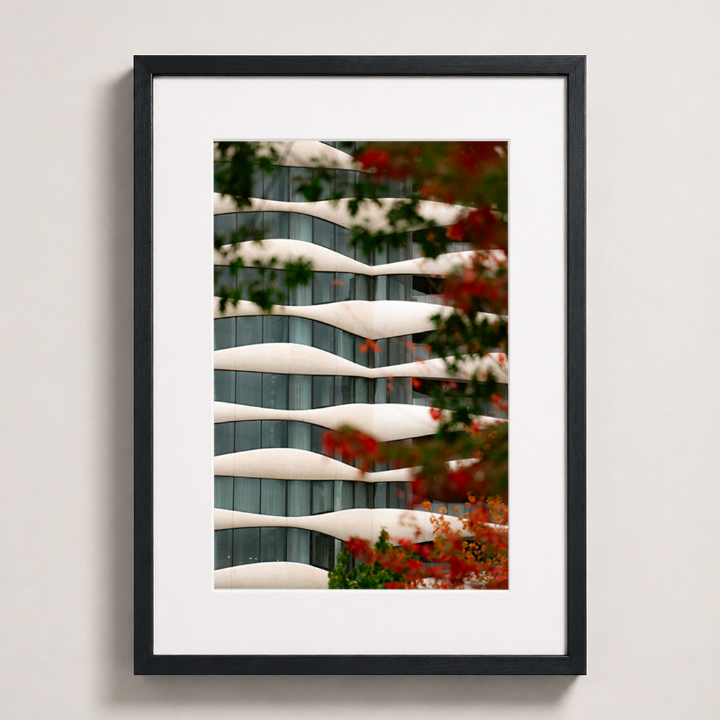 Ondulations d’automne | Vancouver