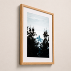 Sommet enneigé | Whistler