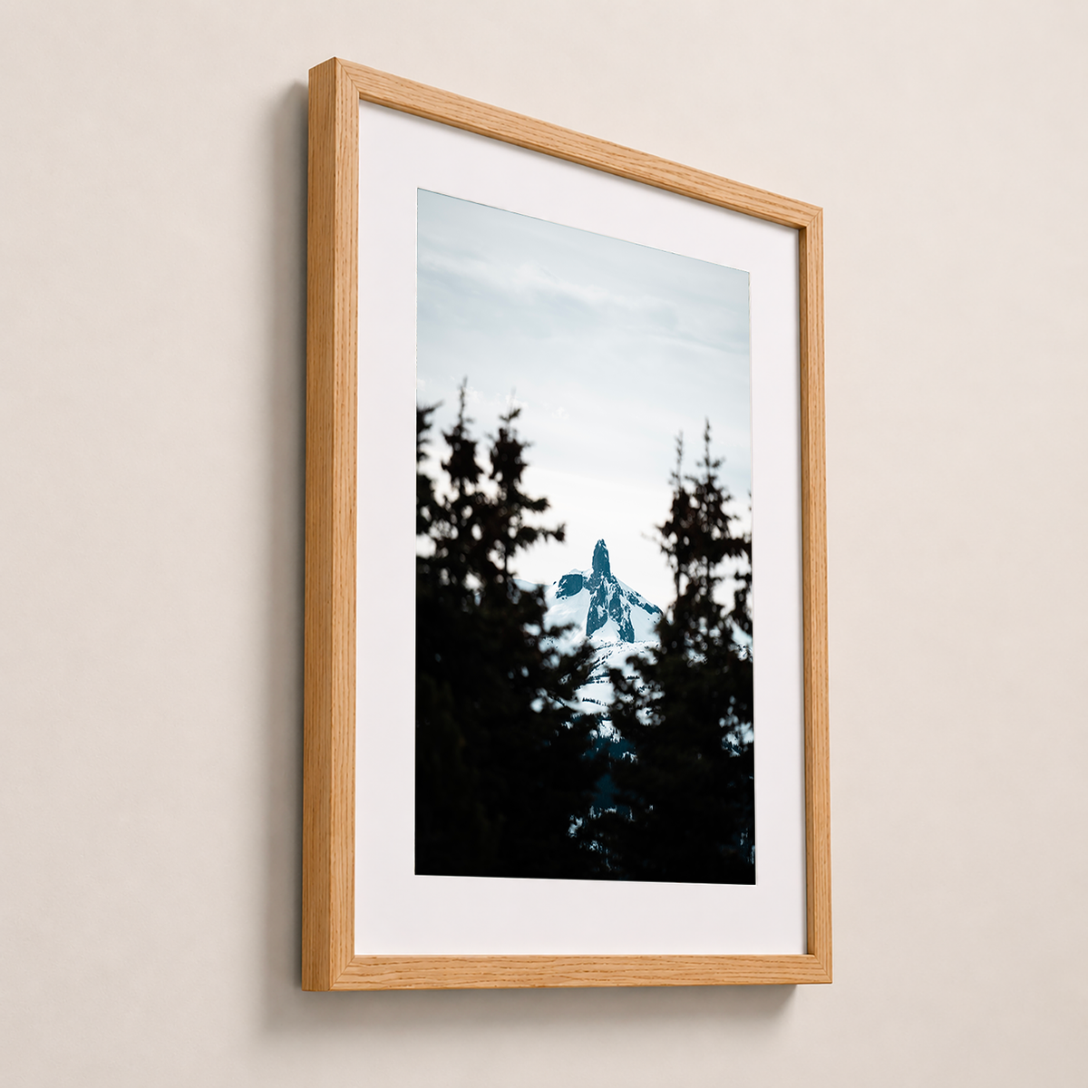 Sommet enneigé | Whistler