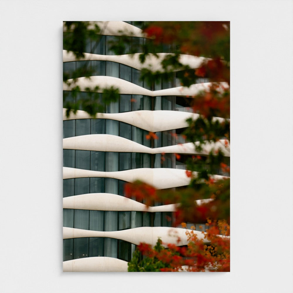 Ondulations d’automne | Vancouver