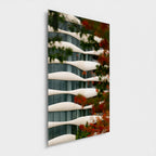 Ondulations d’automne | Vancouver