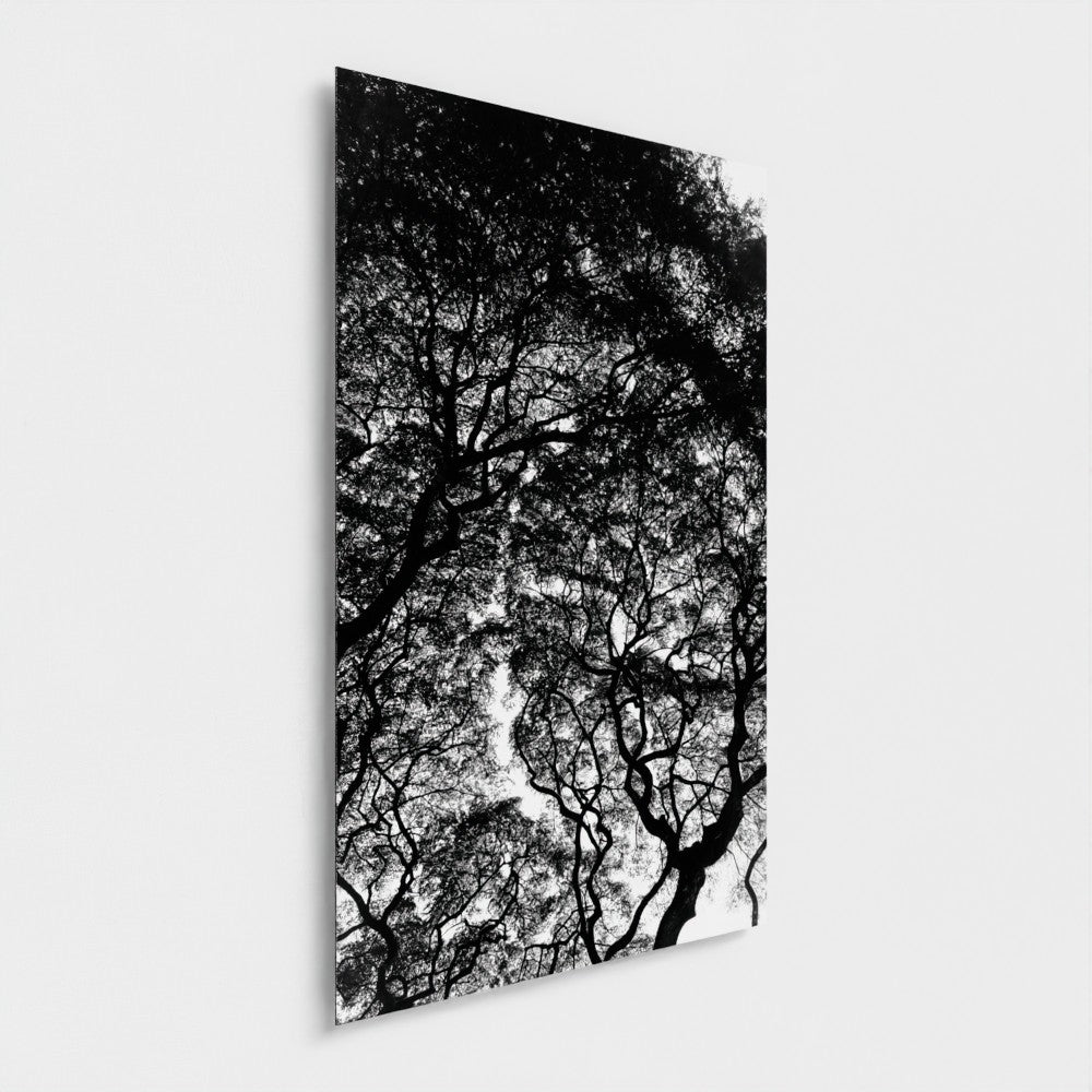 L’encre des branches | Hawaï