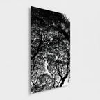 L’encre des branches | Hawaï