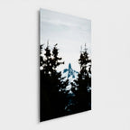 Sommet enneigé | Whistler