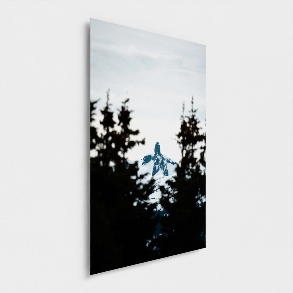 Sommet enneigé | Whistler