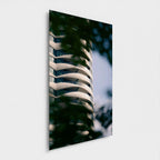 Lignes souples | Vancouver